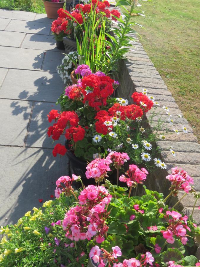 Little Orchard Apartment Yate Exterior foto